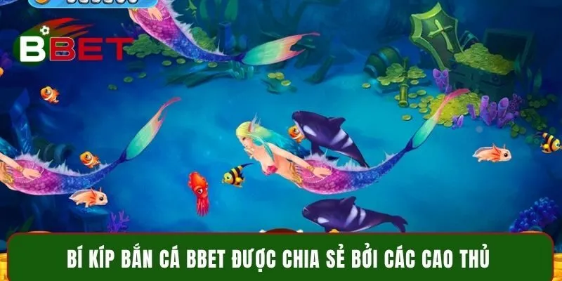 Bí kíp bắn cá Bbet được chia sẻ bởi các cao thủ 