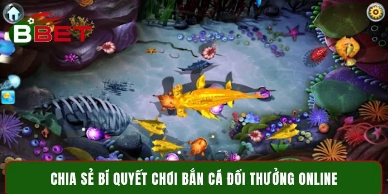 Chia sẻ bí quyết chơi bắn cá đổi thưởng online 