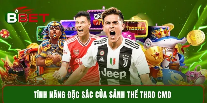 Tính năng đặc sắc của sảnh thể thao CMD 