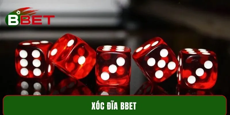 Xóc Đĩa BBET - Chiến lược cược hiệu quả từ cao thủ số 1